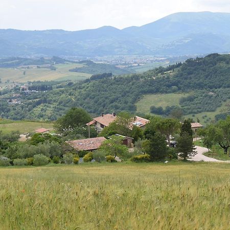 Agriturismo Terra Selvatica Valfabbrica Εξωτερικό φωτογραφία