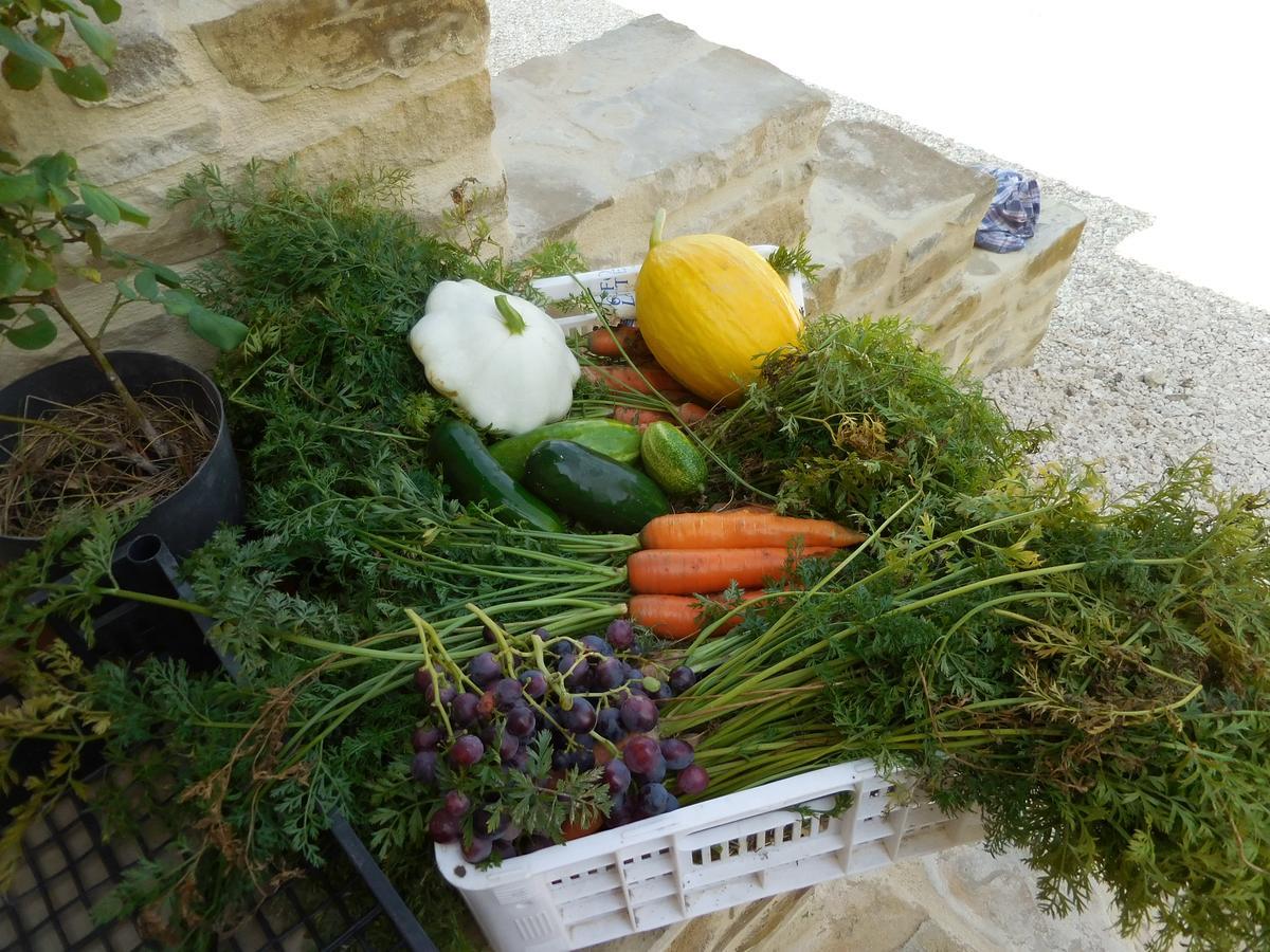 Agriturismo Terra Selvatica Valfabbrica Εξωτερικό φωτογραφία